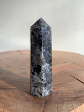 Load image into Gallery viewer, Larvikite Point